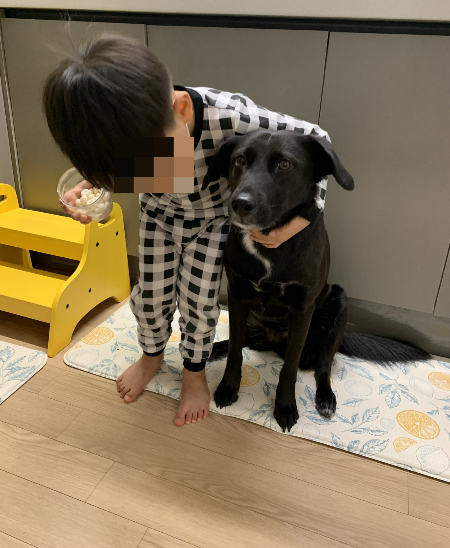 작았던 아기가, 어느새 포카보다 키도 더 커지고./사진=포카 보호자님