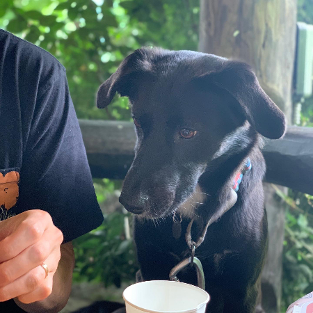 "오빠, 그거 나 줄거지? 그거 내 것 맞지?" 눈으로 말하고 있는 포카./사진=포카 보호자님