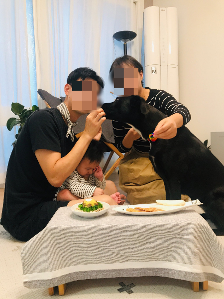 매년 9월 22일은 포카의 생일. 태어남을 축하해줄 따뜻한 가족이 있다는 것./사진=포카 보호자님