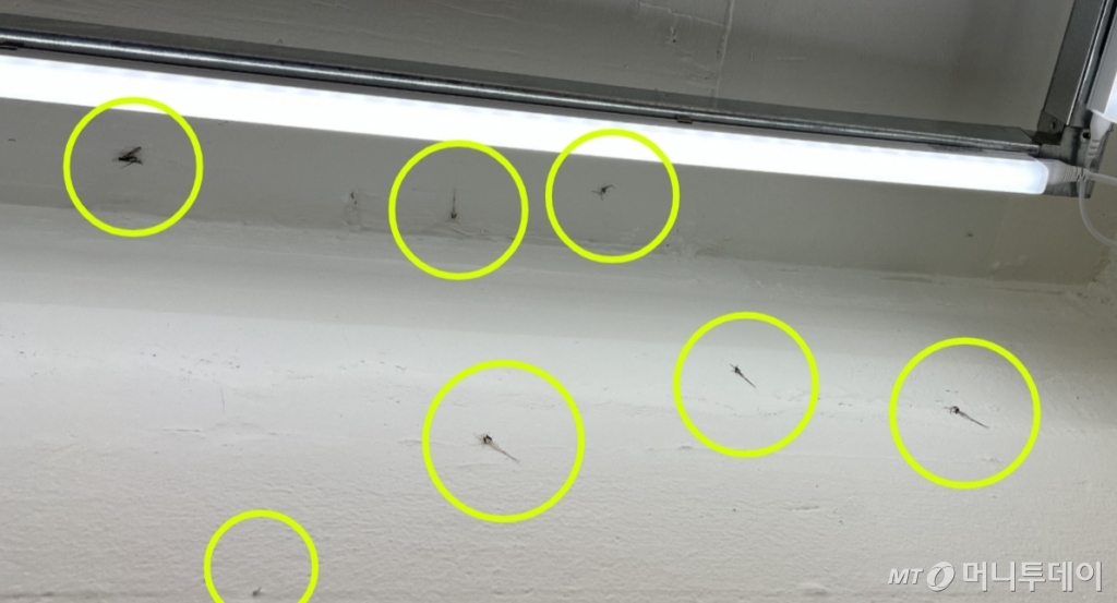 22일 오후 8시30분쯤 서울 강남구 압구정로데오 일대 한 스티커사진 매장 내부 천장./사진=양윤우 기자 