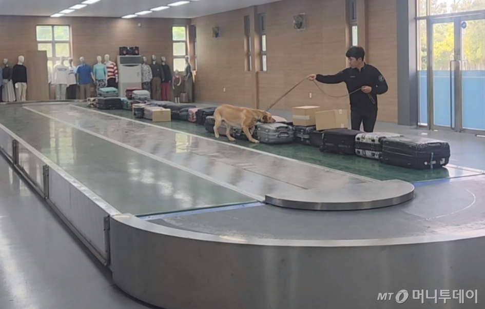 23일 인천 중구 관세인재개발원 탐지훈련센터에서 태국에서 온 탐지조사요원이 탐지견과 함께 훈련하고 있다.  태국은 마약 탐지견 센터 설립을 계획한 뒤 마약 탐지견 센터 설립 및 운영 노하우 전수 등을 요청하고 현재 탐지견 훈련센터에 현지 핸들러 2명을 보내 위탁 교육을 받고 있다. /사진=최지은 기