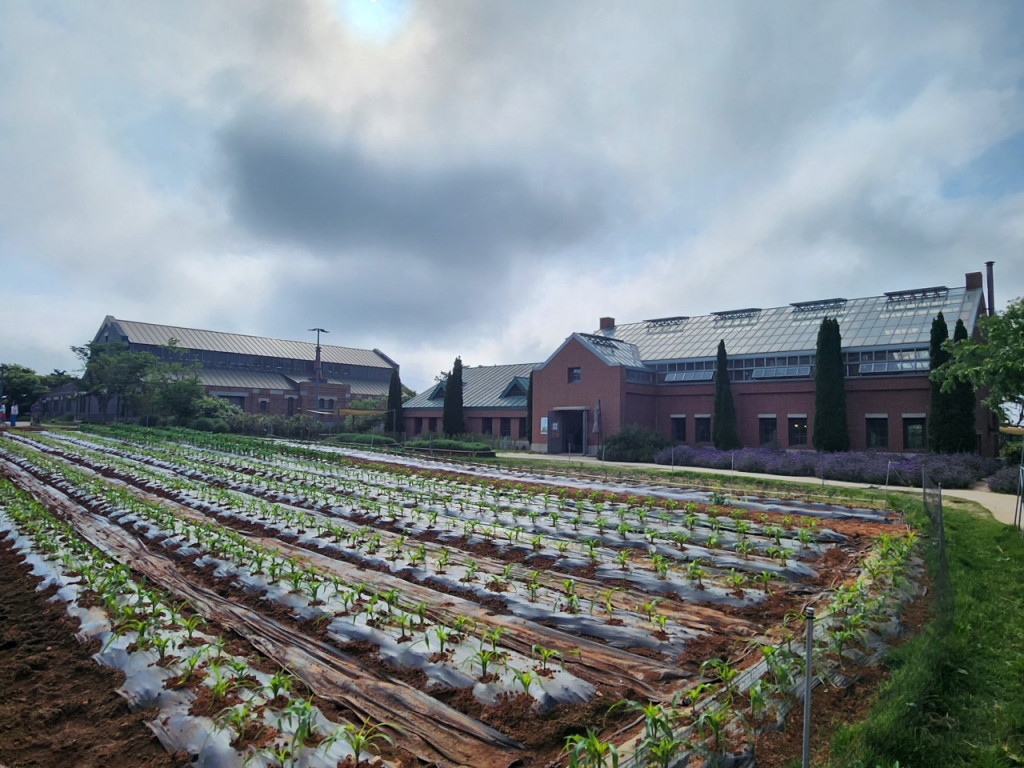 상하농원 내 조성된 채소류 텃밭과 햄공방, 식당가 등이 들어선 건물. /사진=유엄식 기자