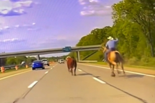 /사진=미시간주 경찰 제공