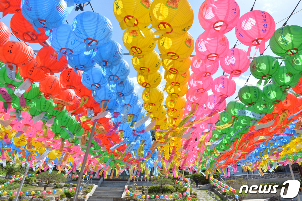 부처님 오신날을 앞둔 25일 오후 대한불교조계종 포항 문수사 경내에 오색 봉축등이 주렁 주렁 달려있다. /사진=뉴스1