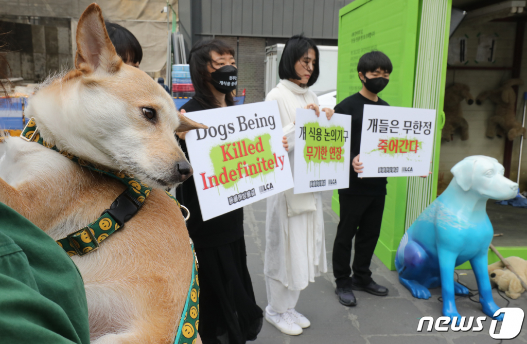 (서울=뉴스1) 송원영 기자 = 23일 서울 서대문구 신촌 유플렉스 앞 스타광장에서 동물해방물결 회원들이 '국제 강아지의 날'을 맞아 개 식용 문제의 종식을 촉구하는 기자회견을 하고 있다.   국제 강아지의 날은 2006년 미국의 반려동물학자인 콜린 페이지의 제안으로 만들어진 날로, 매년 3월 23일이다. 국제 강아지의 날 제정은 세계 모든 강아지들을 사랑하면서 보호하는 것은 물론 유기견 입양 문화를 정착시키자는 취지로 이뤄진 것이다. 2023.3.23/뉴스1  Copyright ? 뉴스1. All rights reserved. 무단 전재 및 재배포 금지.