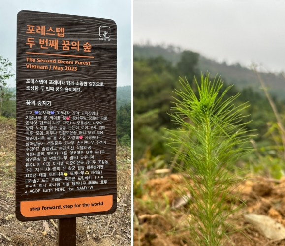 사진제공=글루리