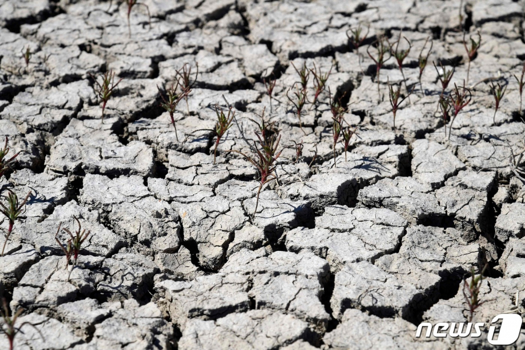 (아즈날카자르 AFP=뉴스1) 우동명 기자 = 11일 (현지시간) 극심한 가뭄에 시달리고 있는 스페인 아즈날카자르에 있는 도냐나 국립공원의 못이 바짝 말라 바닥이 갈라진 바닥이 보인다.  ⓒ AFP=뉴스1  Copyright ? 뉴스1. All rights reserved. 무단 전재 및 재배포 금지.