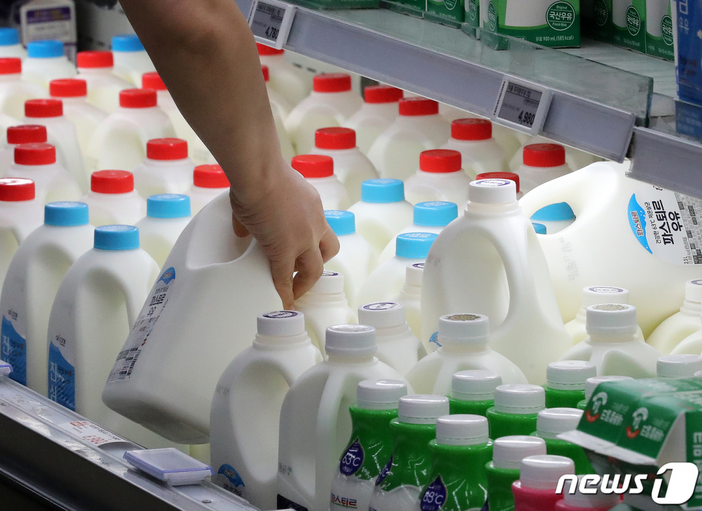 (서울=뉴스1) 김진환 기자 = 낙농가와 유업계 관계자 등으로 구성된 낙농진흥회가 지난 9일 소위원회를 열고 올해 원유 가격 협상을 시작했다. 올해는 국제 곡물가 상승으로 인한 사료비 등 생산비 증가로 L당 69~104원 범위에서 가격 인상을 논의한다. 소위원회가 가격을 정하면 낙농진흥회 이사회 의결을 거쳐 오는 8월1일부터 인상분이 반영될 예정이다. 사진은 11일 서울 서초구 양재동 하나로마트를 찾은 시민이 우유를 고르는 모습. 2023.6.11/뉴스1 Copyright ? 뉴스1. All rights reserved. 무단 전재 및 재배포 금지.