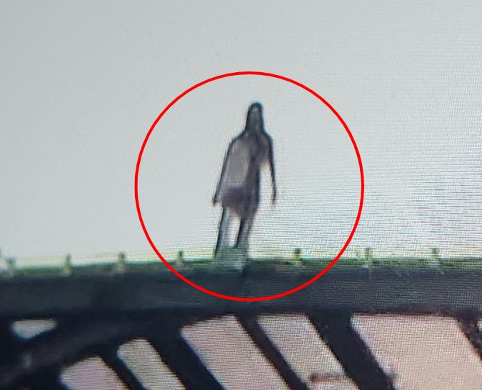 지난 11일 영동고속도로 상행방면 광교방음터널 위에서 목격된 여성. 이 여성은 경찰에 노을이 지는 하늘을 보기 위해 방음터널에 올랐다고 진술했다. /사진=온라인 커뮤니티 캡처