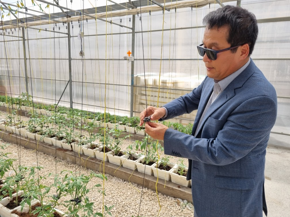 이범진 아그로테크 UAE법인 총괄 본부장이 아그로테크 대저토마토 농장에서 과수용 유인끈과 집게 등 농자재를 한국에서 수입한다고 설명하고 있다. /사진=최민경 기자