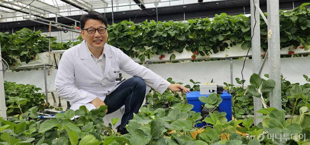 이경용 농업연구사가 지난 20일 국립원예특작과학원 원예작물부 딸기재배 실험동에 설치한 '뒤영벌 화문매개 스마트 벌통'의 기능을 설명하며 밝게 웃고 있다. /사진=정혁수 기자 /사진=정혁수