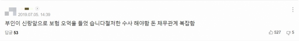 /사진=윤씨 사망 당시 기사 댓글 캡처본