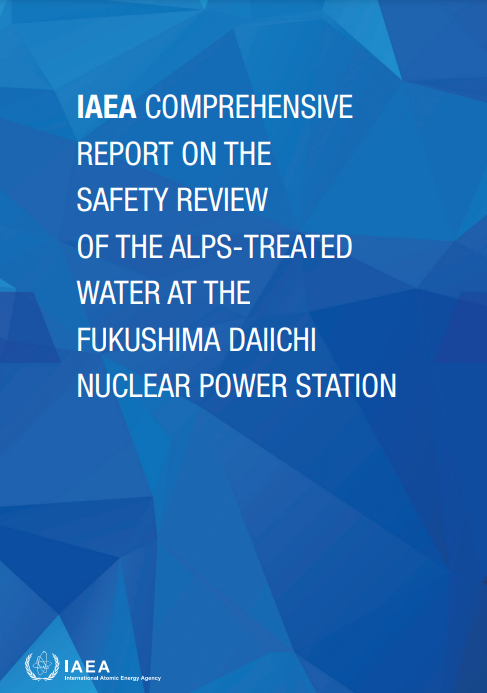 지난 4일 공개된 국제원자력기구(IAEA) 최종보고서. / 사진=국제원자력기구(IAEA)