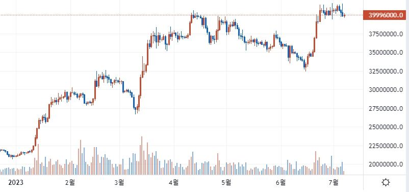 올해 비트코인 가격 추이. /사진=업비트.