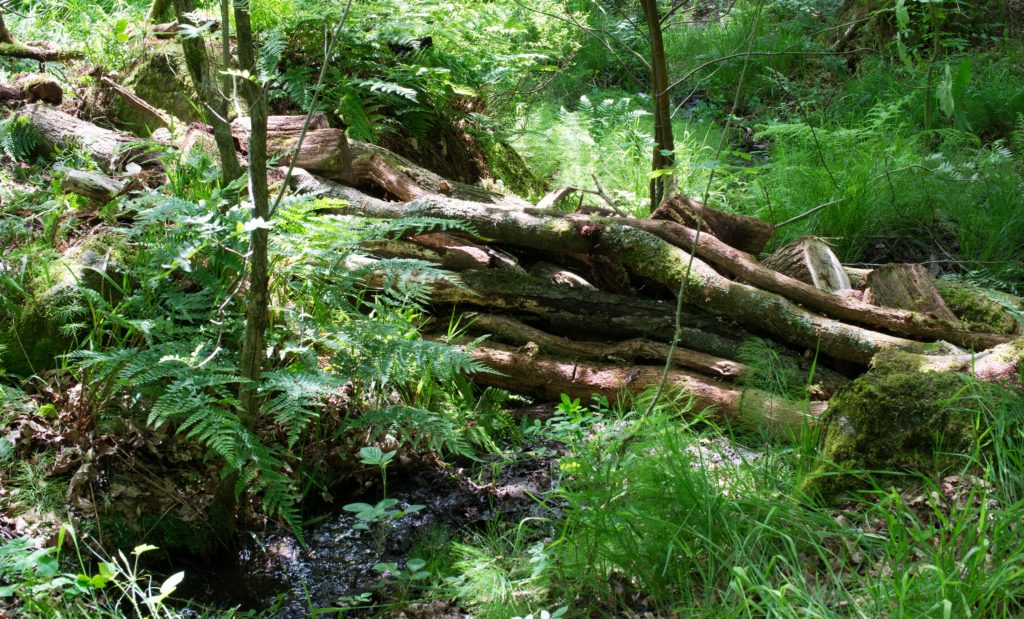 영국 산지에 만들어진 미니 댐. 이 빗물 관리시설을 통해 홍수를 막고 있다. / 사진제공=한무영 서울대 교수