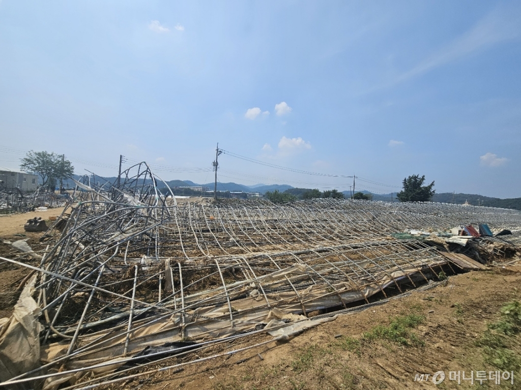 21일 오후 충북 청주시 오송읍 호계리 일대에 침수 피해를 입은 비닐 하우스 농가. /사진=정세진 기자 