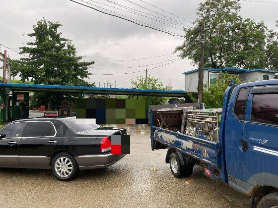 경기 남양주 개농장 전경. 도살장도 함께 하는 곳이라 했다./사진=남형도 기자