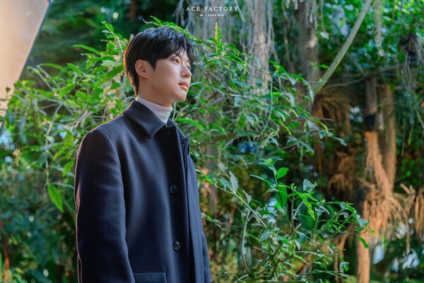 /사진=에이스 팩토리