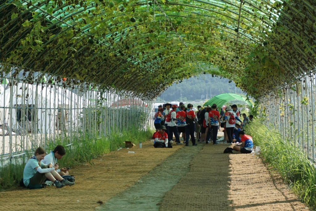 6일 오후 전북 부안군 새만금 세계잼버리 델타구역에 설치된 덩굴터널에서 쉬고 있는 참가자들 /사진제공=여성가족부