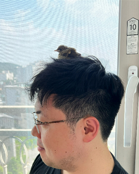 대원씨의 친구는 말했다. 자기 같으면 그냥 무시했을 거라고. 카페에 들어온 것도 아니지 않느냐고. 대원씨는 피하거나 모른척하지 않았다. 돌봐주고 살렸다./사진=카페 SON 사장 조대원씨