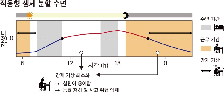 연속된 두 야간근무 (주황색 영역) 사이의 적응형 생체 분할 수면(회색 영역)은 근무 전과 도중의 각성도가 낮은 강제 기상을 최소화해 실천하기 쉬우면서도 근무 중의 능률 저하, 사고 위험을 효과적으로 억제한다. /그림=삼성서울병원