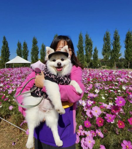 은진씨 동생과 코스모스 앞에서 환히 웃는 꾸꾸. 행복한 두 사람./사진=꾸꾸 보호자님