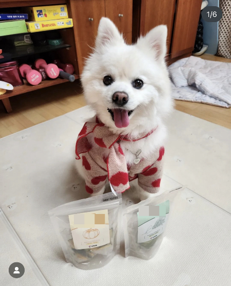 간식 앞에선 꾸꾸도 이리 환히 웃고요. 빨리 까주시지요, 보호자님./사진=꾸꾸 보호자님