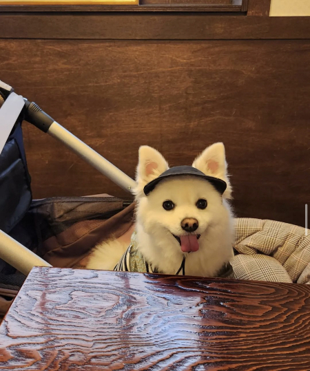 모든 이가 외면하고 바닥에서 부유하는 먼지처럼 느껴지는 하루일지라도, 절대적으로 애정하는 이런 눈빛 하나면 또 살아갈 수 있을 거라고./사진=꾸꾸 보호자님