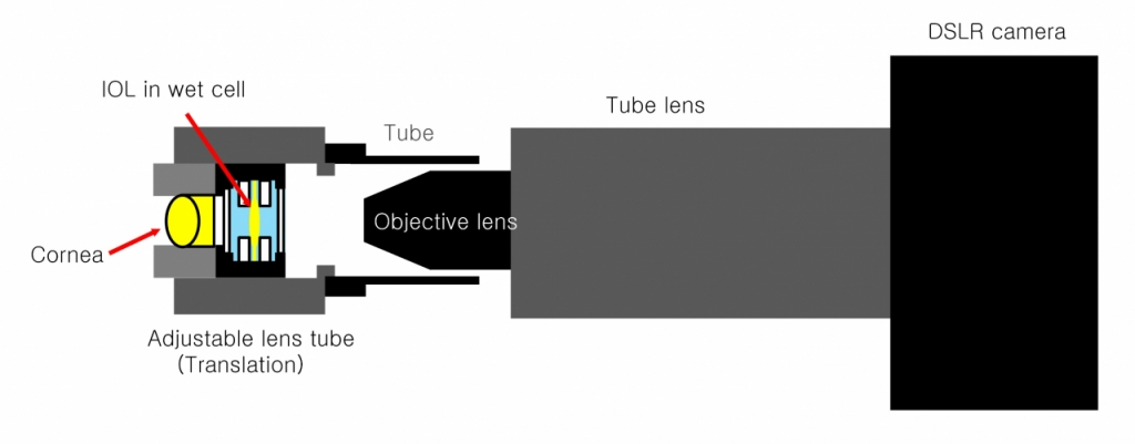 휴대용 모델눈의 조직도. 인공 각막, 인공수정체, 수조, 대물렌즈, 카메라 등으로 구성됐다./그림=여의도성모안과병원