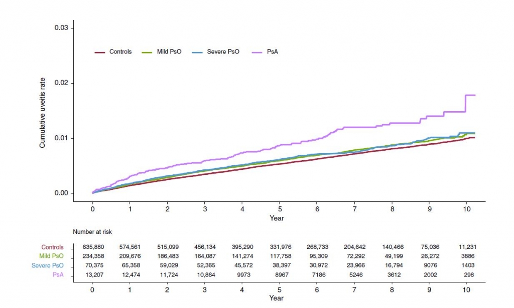 건선 중증도 및 유형에 따른 시간별 포도막염 발병 위험도. 비건선 환자부터 경증 건선, 중증 건선, 건선관절염 순서로 포도막염 발병 위험이 높다. 'Controls'은 비건선 환자(대조군), 'PsO'는 건선환자, 'PsA'는 건선관절염 환자다. /그림=분당서울대병원
