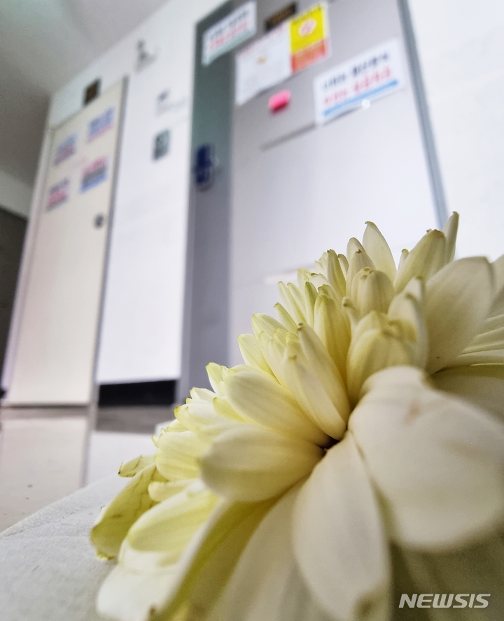  지난 4월 20일 오후 인천 미추홀구 한 아파트 현관문 앞에 전세사기 수사 대상 아파트임을 알리는 안내문과 함께 국화 꽃이 놓여있다. 최근 해당 주택에서는 30대 여성이 의식을 잃은 상태로 발견돼 병원으로 옮겨졌지만 끝내 숨졌다. 그는 이른바 '건축왕'으로부터 전세보증금을 돌려받지 못한 피해자 5명이 숨진 것으로 파악됐다./사진=뉴시스