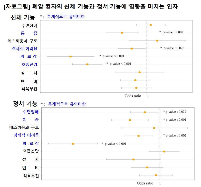 폐암 환자의 신체 기능과 정서 기능에 영향을 미치는 인자./사진=은평성모병원