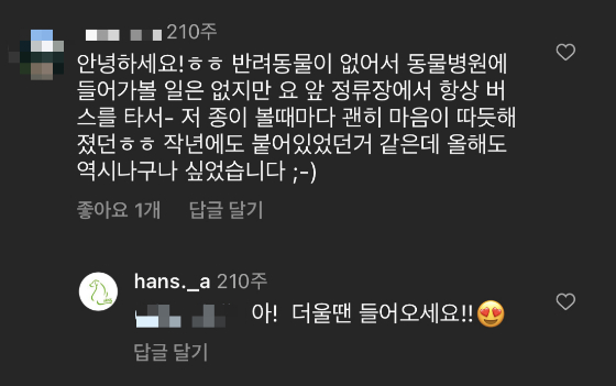 보는 것만으로도 마음이 따뜻해진다고. 별 것 아니라고 손사래쳤으나, 그 힘은 생각보다 강해보였다./사진=인스타그램 화면 캡쳐