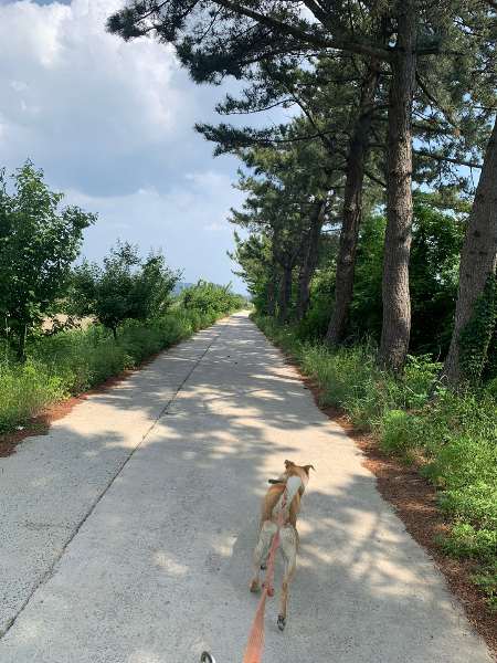 앞으로 나아갈 길엔 따뜻한 햇빛도, 시원한 그늘도 꽤 있을 거라고. 혼자가 아니므로./사진=북끝서점 주인 김상아씨