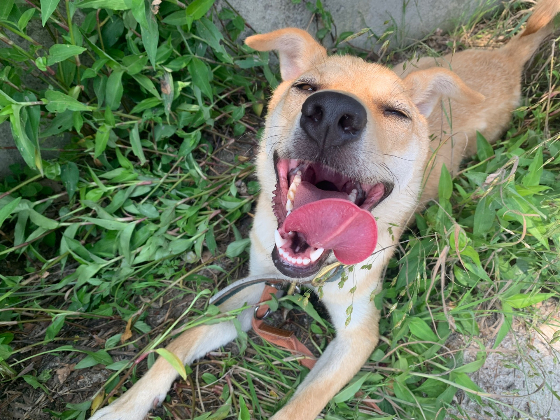 기분 최고구나, 럭키. 다행이다. 이젠 평생을 함께할 좋은 가족 만나기를./사진=북끝서점 주인 김상아씨