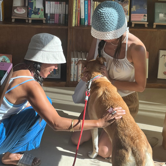 북끝서점 손님들과 인사하는 럭키. 귀염둥이. /사진=북끝서점 주인 김상아씨