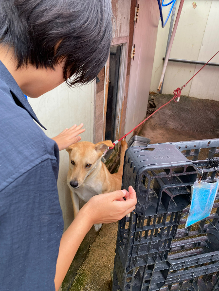 상아씨와 럭키가 인사하고 있다. 나를 처음 봐서 몹시 흥분한 상태였다./사진=남형도 기자