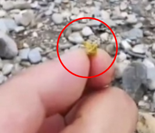 중국 베이징의 강가에서 금 조각들이 발견됐다는 소문이 현지 온라인상에 퍼지고 있다. /사진=웨이보