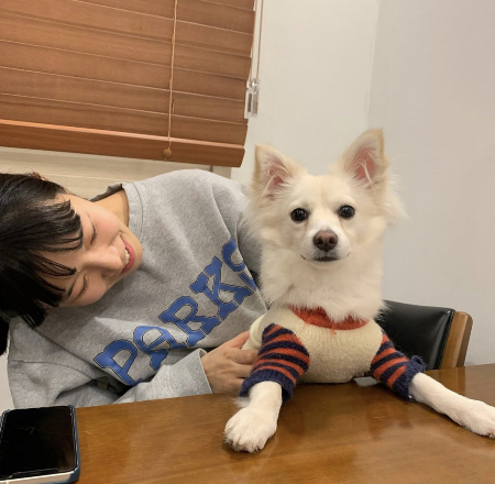 두 번째 임시보호를 했을 당시 대길이의 모습./사진=대길이 두 번째 임시보호자님(@puding_diary)