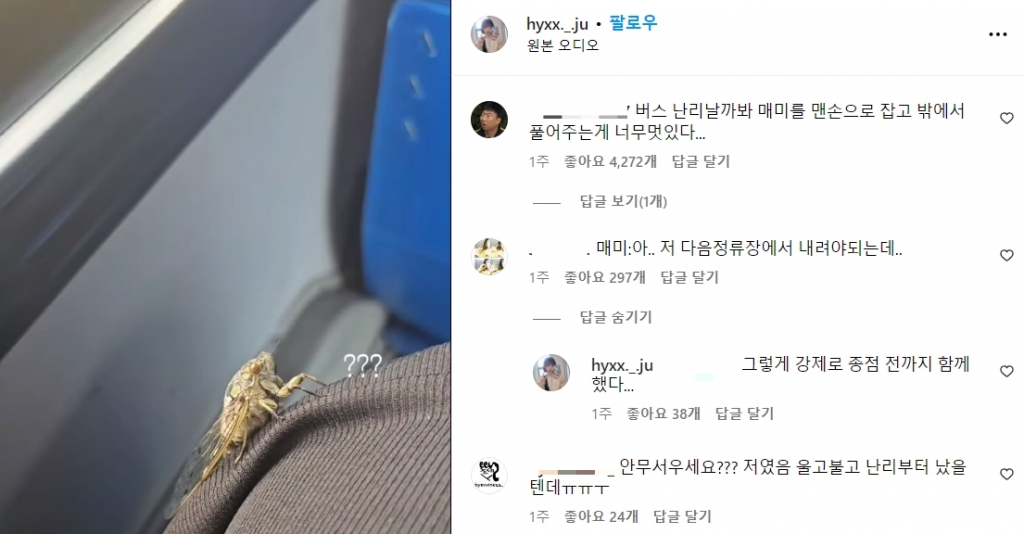 현주씨가 자신의 SNS에 올린, 매미와 친구된 이야기 영상./사진=다음 정류장에서 내려야 하는 매미 친구 현주씨