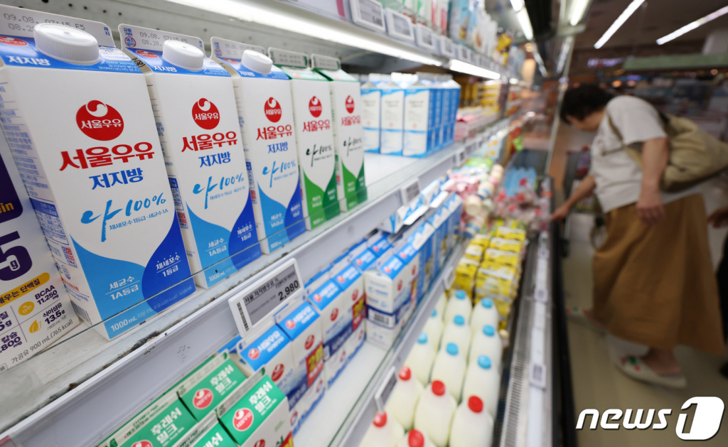 (서울=뉴스1) 김민지 기자 = 1일 서울의 한 대형마트에서 시민이 우유를 고르고 있다.  서울우유협동조합에 따르면 오는 10월 1일부터 대형마트에 납품하는 '나100%우유(1ℓ)'의 출고가를 3% 인상한다.  매일유업과 남양유업 등도 인상을 논의중이며, 소비자가격은 3000원을 넘지 않는 선에서 오를 전망이다. 2023.9.1/뉴스1  Copyright ? 뉴스1. All rights reserved. 무단 전재 및 재배포 금지.