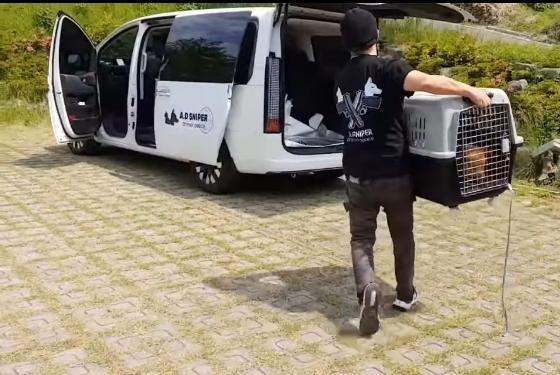 꺼낸 개들을 차에 싣는 박성수씨. 비로소 살기 위한 시간이 흐르는 거다./사진=동물보호활동가 박성수씨