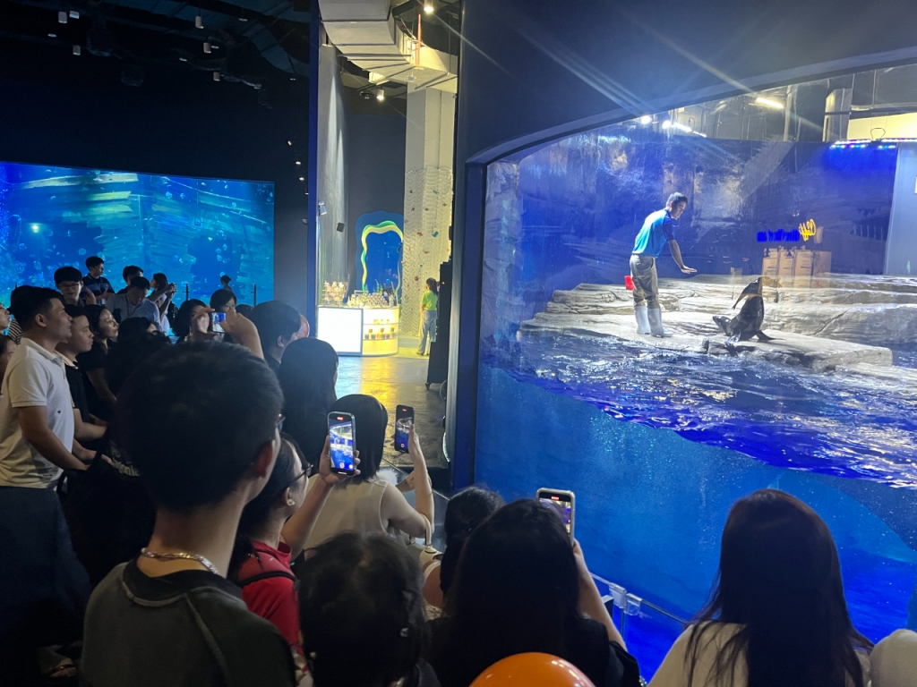 롯데월드 아쿠아리움 하노이에서 사육사와 물개가 공감하는 모습을 보고 있는 방문객들/사진= 임찬영 기자
