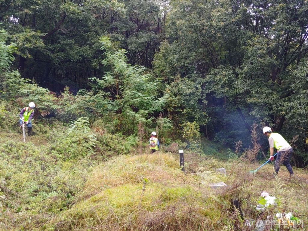 지난 26일 경기 포천시 신북면 기지리의 야산 속 묘. 포천시산림조합이 벌초 도우미 의뢰를 받고 이날 오전 벌초를 진행하고 있다./사진=정세진 기자 