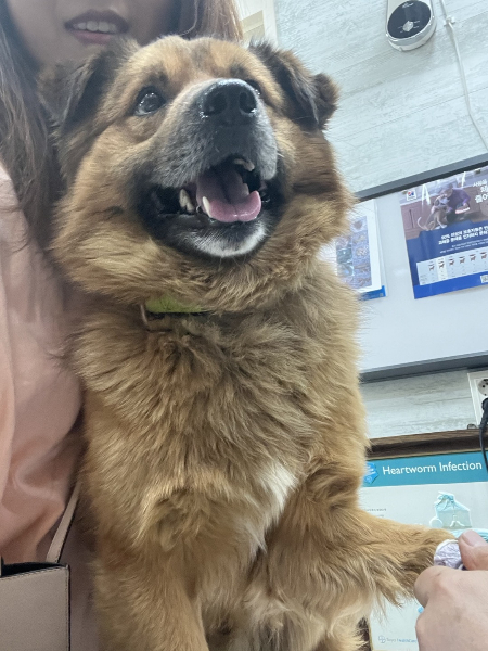 이쁜이와 혜민씨의 투샷./사진=혜민씨 제공