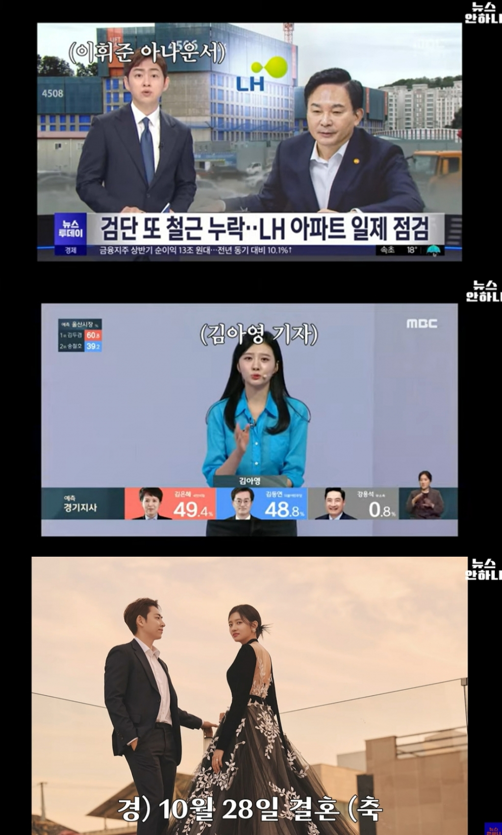 /사진=유튜브 채널 '뉴스안하니' 캡처
