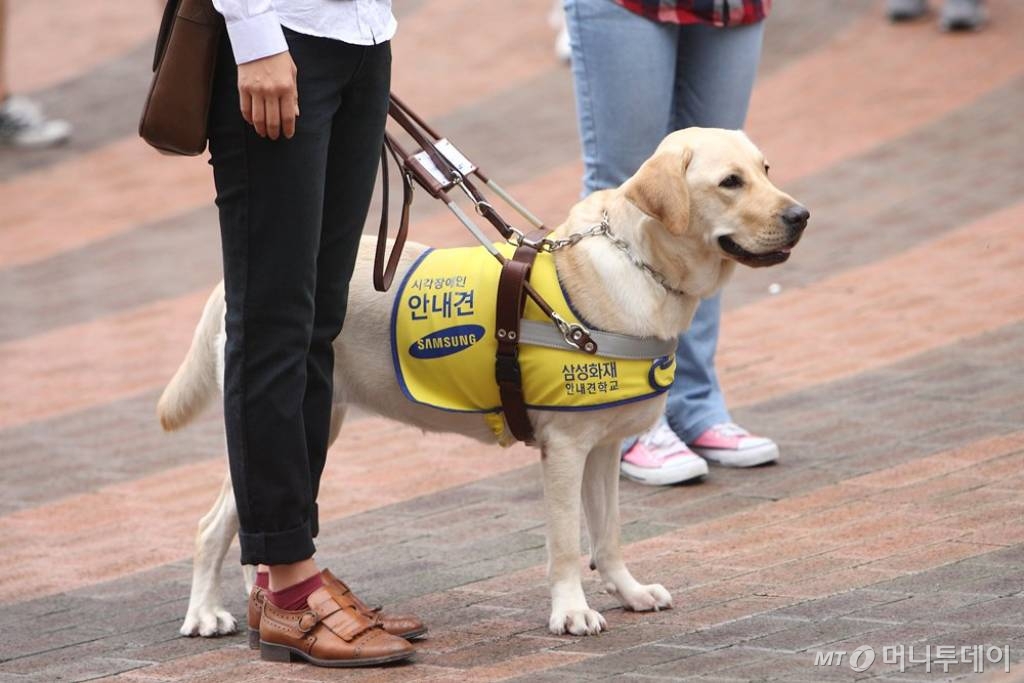 /사진=머니투데이 DB