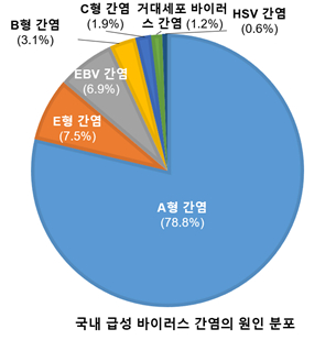 2020~2021년 국내 급성 바이러스 간염 원인 분포./사진=분당서울대병원