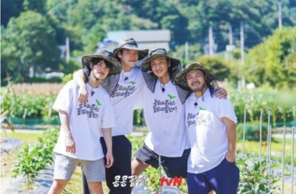 '콩콩팥팥', 사진=tvN
