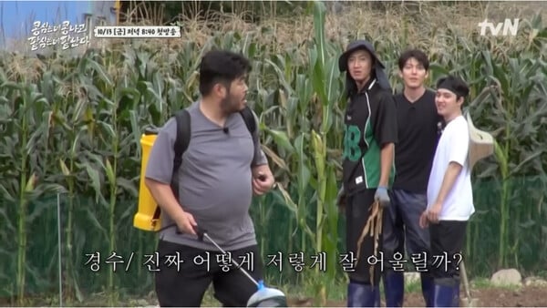 '콩콩팥팥', 사진=tvN